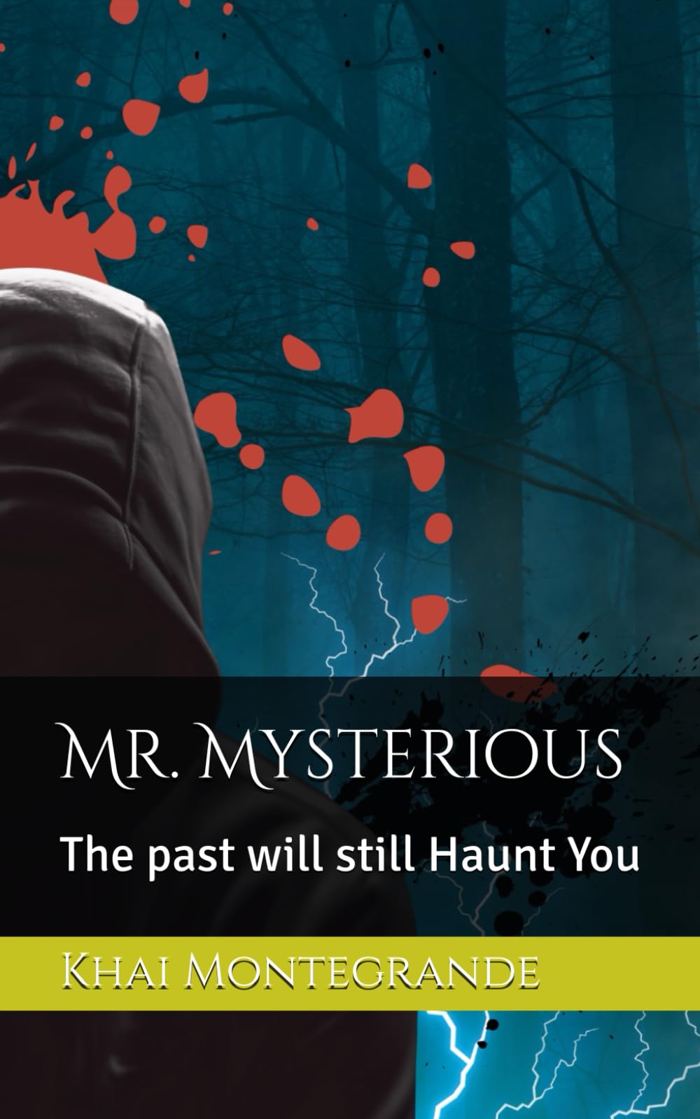 Mr. Mysterious: The past will still Haunt You