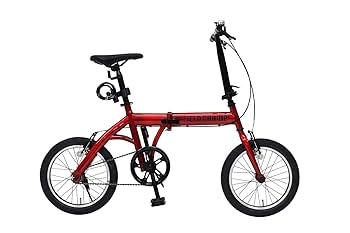 最安値❣️新品未使用 フィールドチャンプ 電動アシスト 折り畳み自転車 16インチ Amazon | FIELD CHAMP（フィールドチャンプ） 電動アシスト