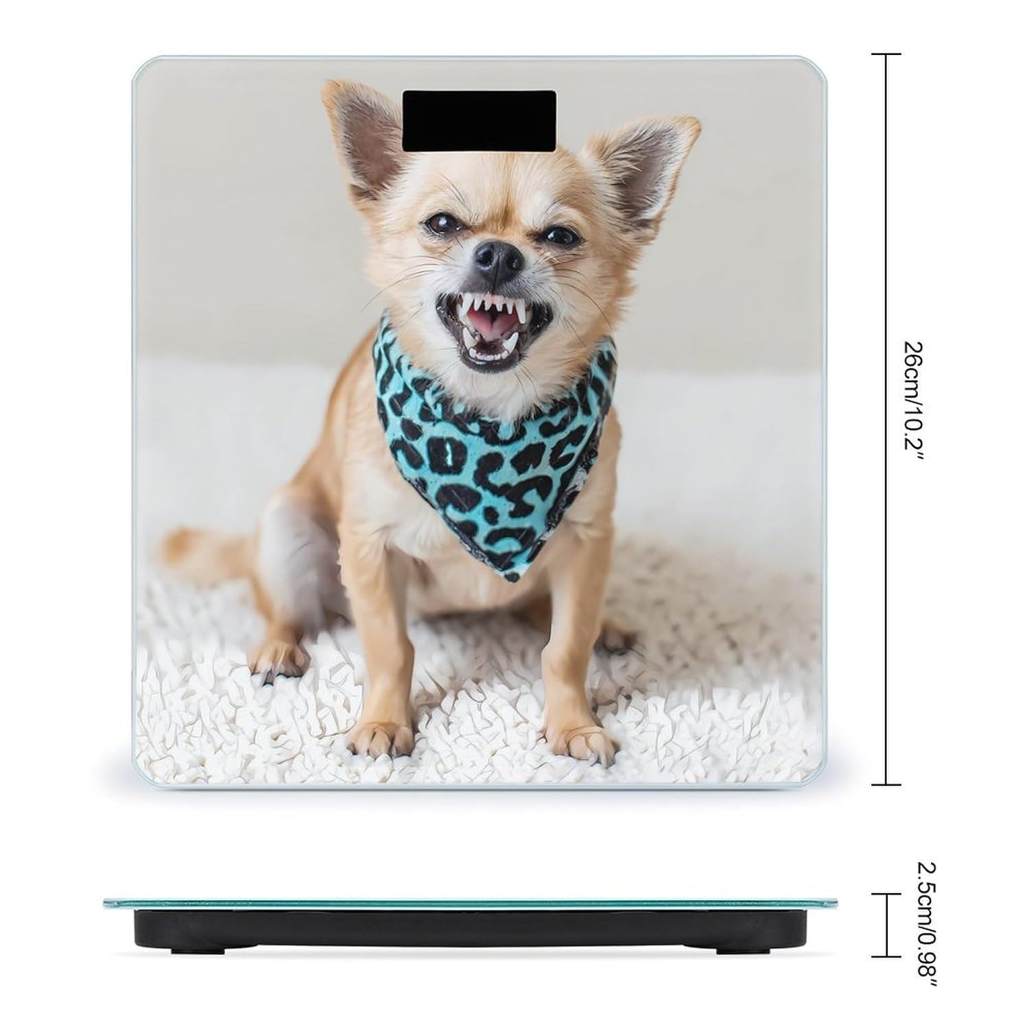 Angry Chihuahua Dog Digital Body Weight Scale LCD Backlight Display for Bathroom Gym