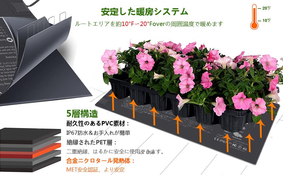 Amazon.co.jp: ketotek 10