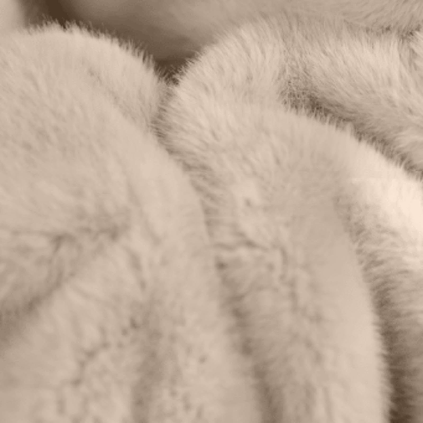 Chaqueta de lana con cuello vuelto para niñas, abrigo grueso con botones para invierno, cálido, térmico, mullido, sherpa, resistente al viento, para la escuela, al aire libre, casual, para