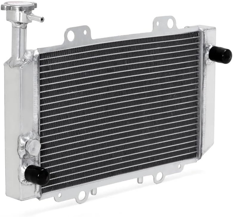 平山郁夫作 扇型陶板置き物 タイトル(国宝冨貴寺大堂)