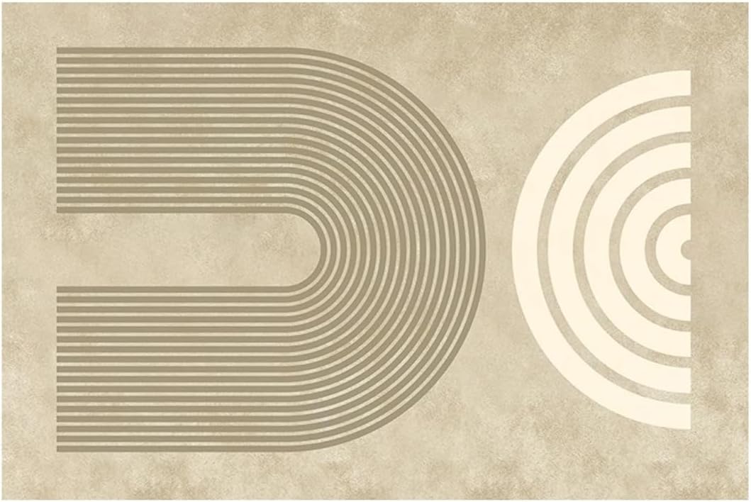 Carpets for Living Room Large Area Bedroom Decor Abstract Fluffy Soft Lounge Rug Cream Color Plush Mat(80x120CM/G)