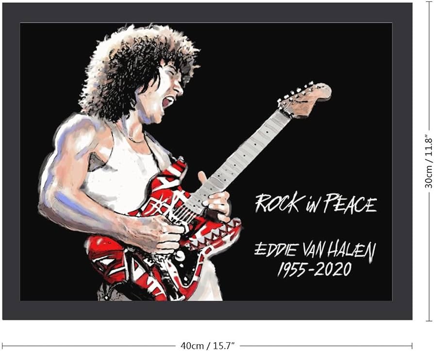 EDDIE VAN HALEN　置物　額　ピック　アート　インテリア　オブジェ EDDIE VAN HALEN置物額ピックアートインテリアオブジェ