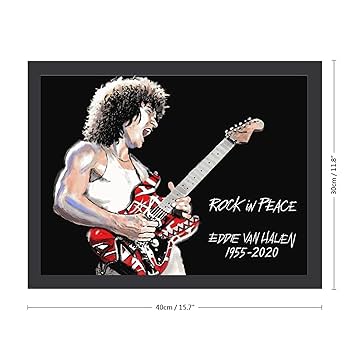 Amazon.co.jp: Eddie Van-Halen ヴァン・ヘイレン アートパネル