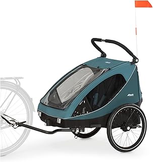 hauck Dryk Duo, Ocean Green - 2in1 Fahrradanhänger & Kinderwagen für 2 Kinder ab 6 Monaten bis 22 kg/120 cm/4 Jahre, für Zwillinge & Geschwister, Faltbar, XL Stauraum, für Fahrrad, E-Bike & Pedelec