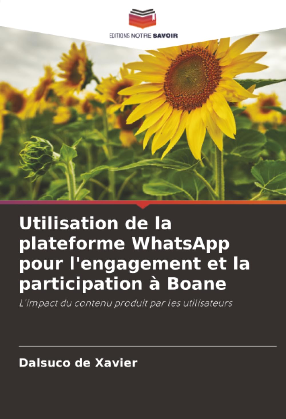 Utilisation de la plateforme WhatsApp pour l'engagement et la participation à Boane: L'impact du contenu produit par les utilisateurs