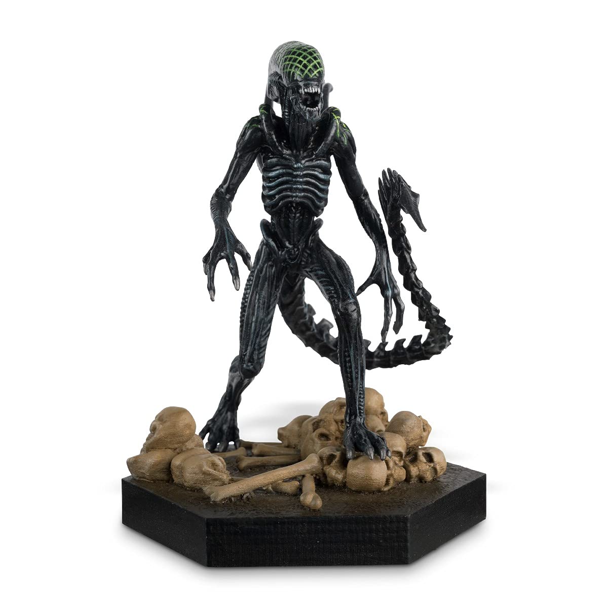 Amazon.co.jp: エイリアン - グリッド キセノモーフ (AvP) ボックス