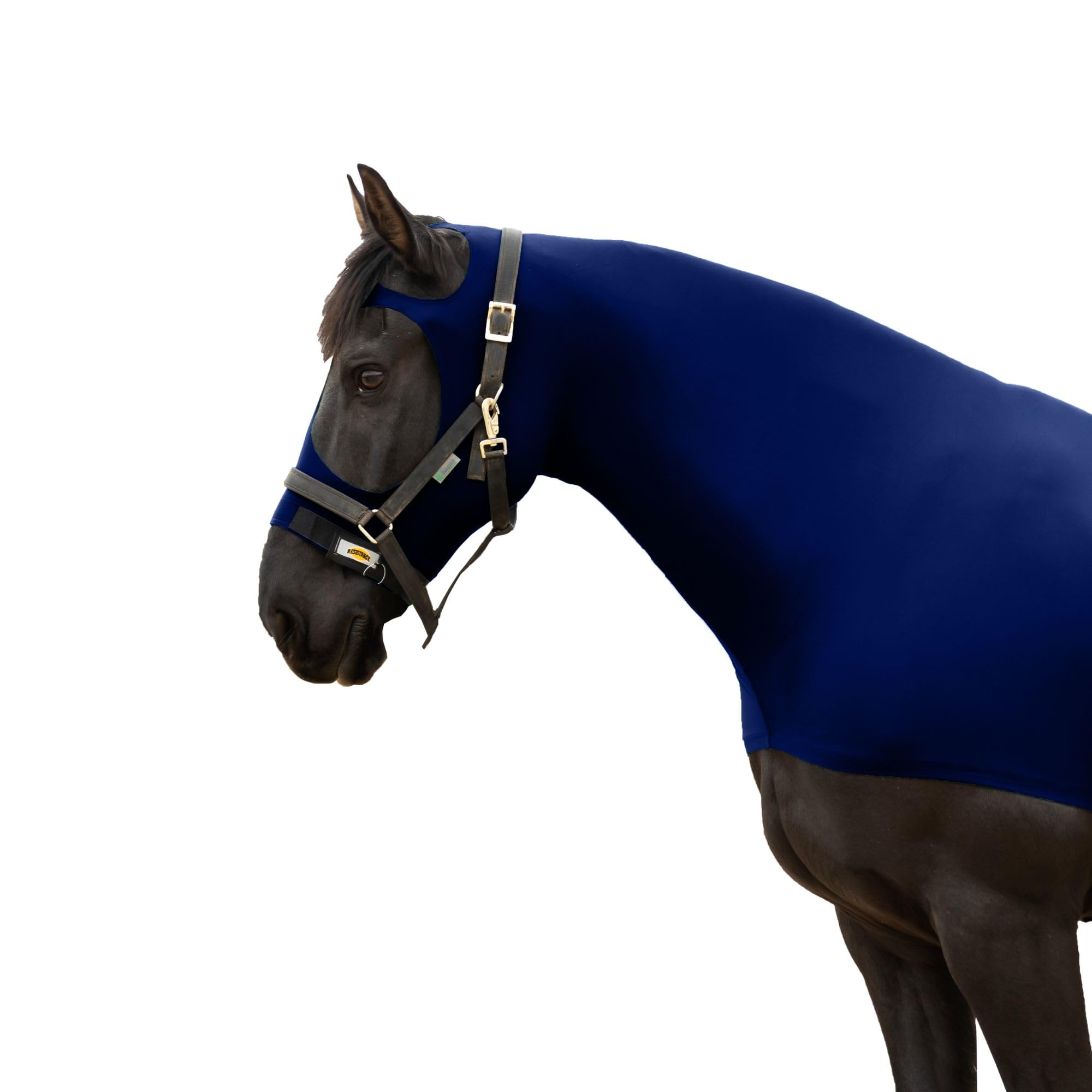Hotte de cheval avec protection de la tête pour éviter les frottements et protéger les crins
