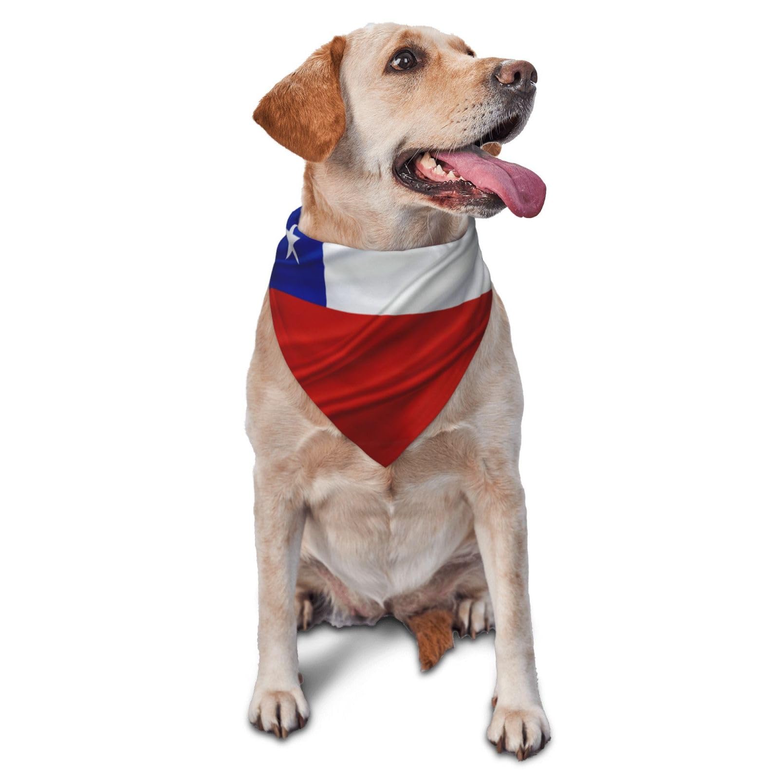 Chile Flag Dog Scarf Pet Bandana Cat Pet Bibs