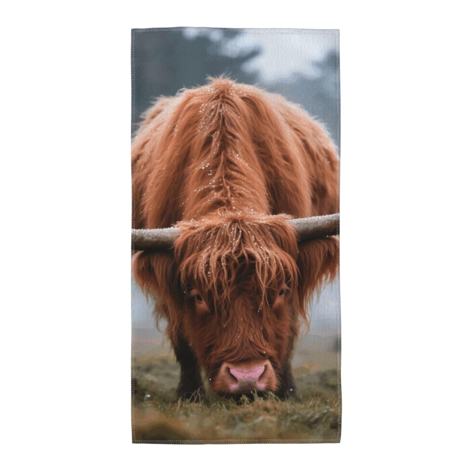 FekiLoot Absorbent Hand Towels 12"X24" Decorative Bathroom Towel Soft Microfiber Face Towel Highland Cow Dish Kitchen Towels for Bathroom Kitchen Hotel Spa Bath Towels