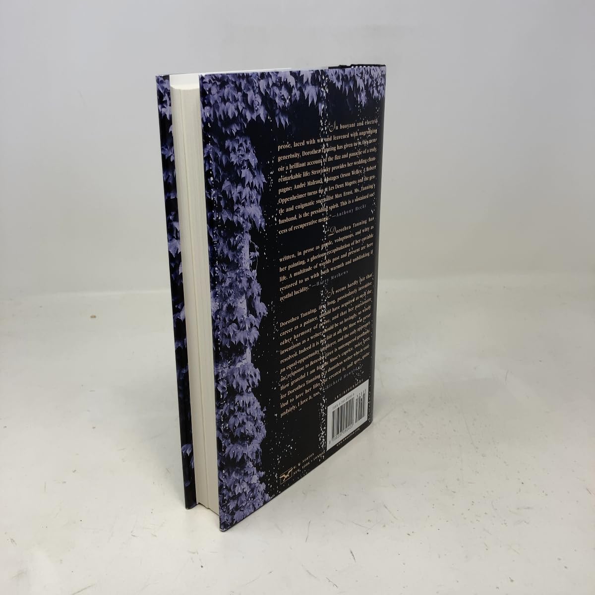 Amazon.co.jp: Dorothea Tanning: 本、バイオグラフィー、最新アップデート