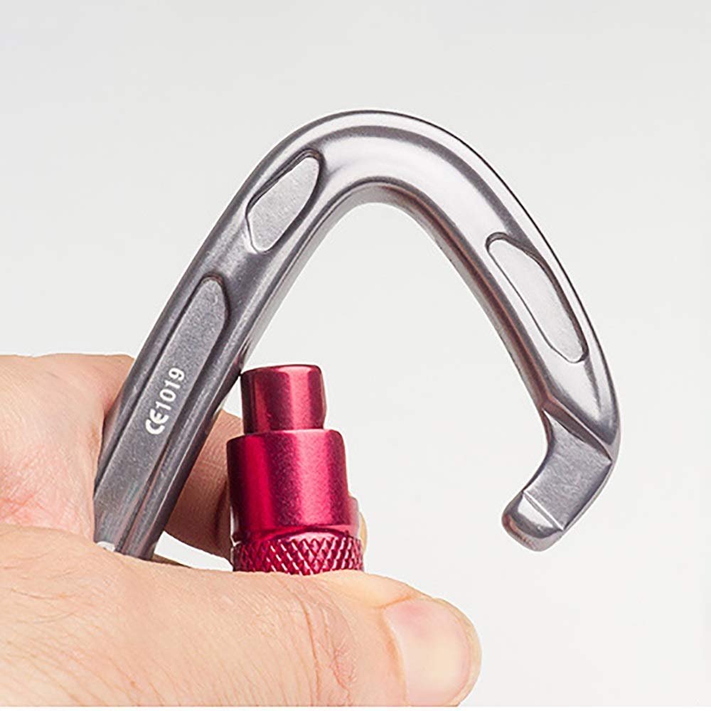 Mosquetón Grande, Gancho de Clip, 2 Paquetes de Anilla en D de aleación de Aluminio de Alta Resistencia, mosquetón Grande automático, Gancho de Clip para Llavero, superduradero (Plata, 99 x 58 mm)