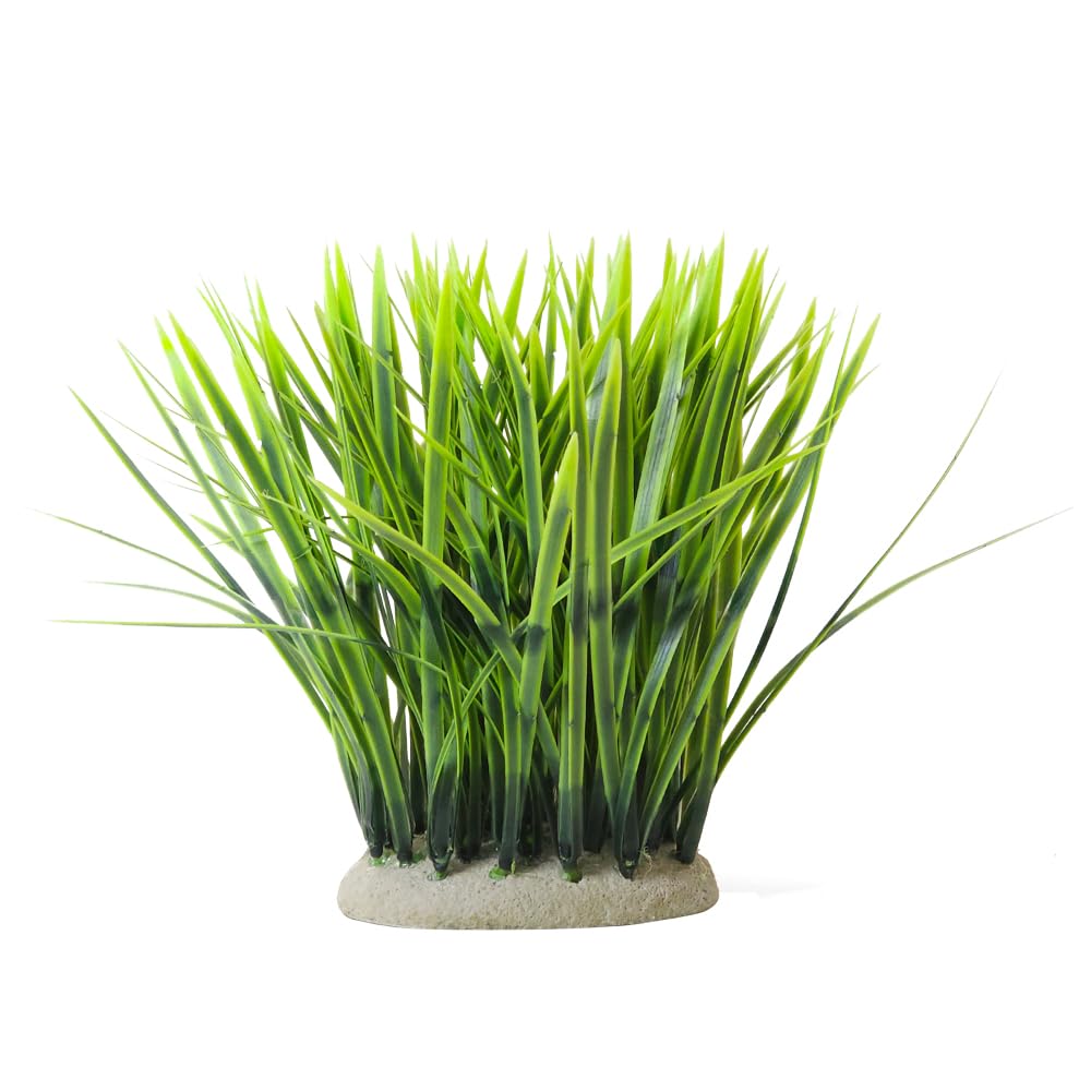 Nobby Aqua Ornaments Vallisneria 11.5 x 7 x 20 cm
