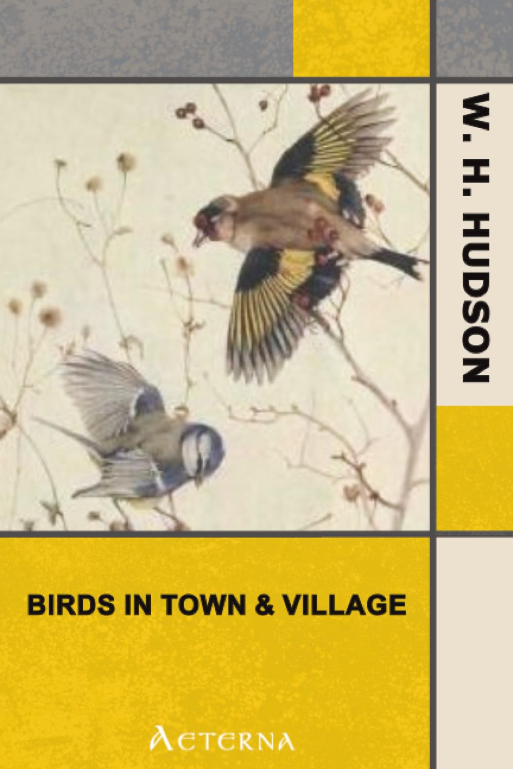 Birds in Town & Village