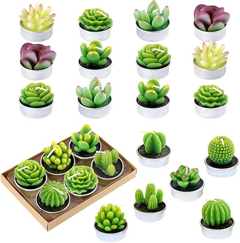 Swpeet Kit de velas decorativas de cactus suculento de 24 piezas