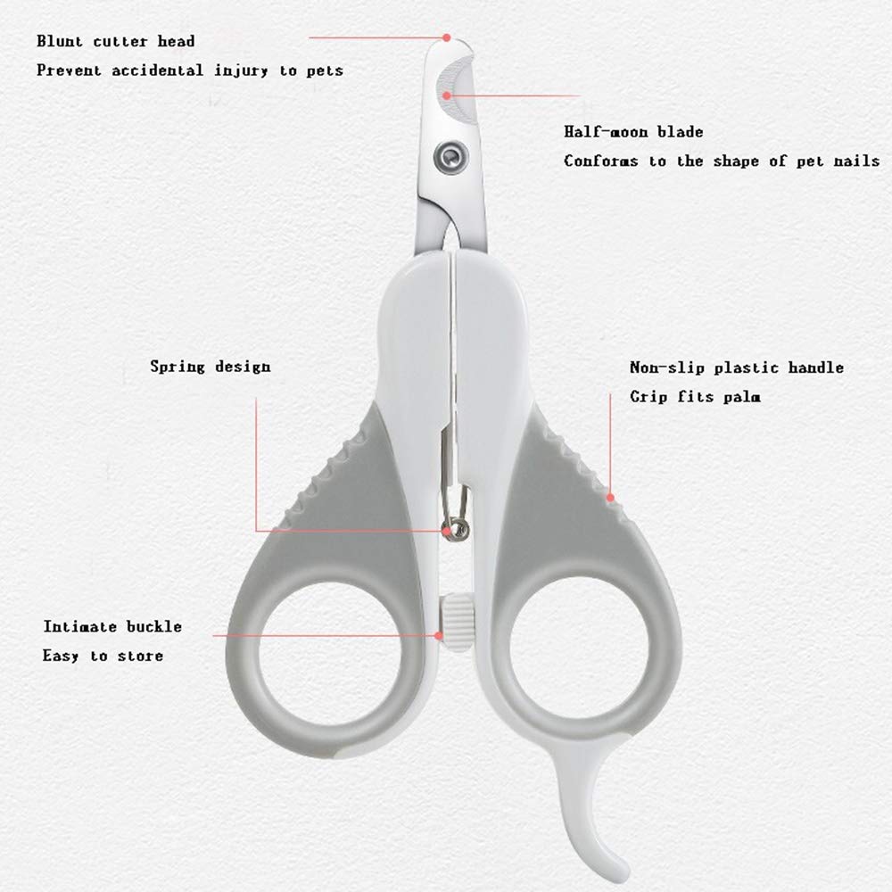 Pet Nail Clippers pour Petits Animaux Meilleur Chat Coupe-Ongles Griffe Trimmer pour La Maison Toilettage Trousse De Toilette Outil Professionnel pour Tiny Cat,Flat
