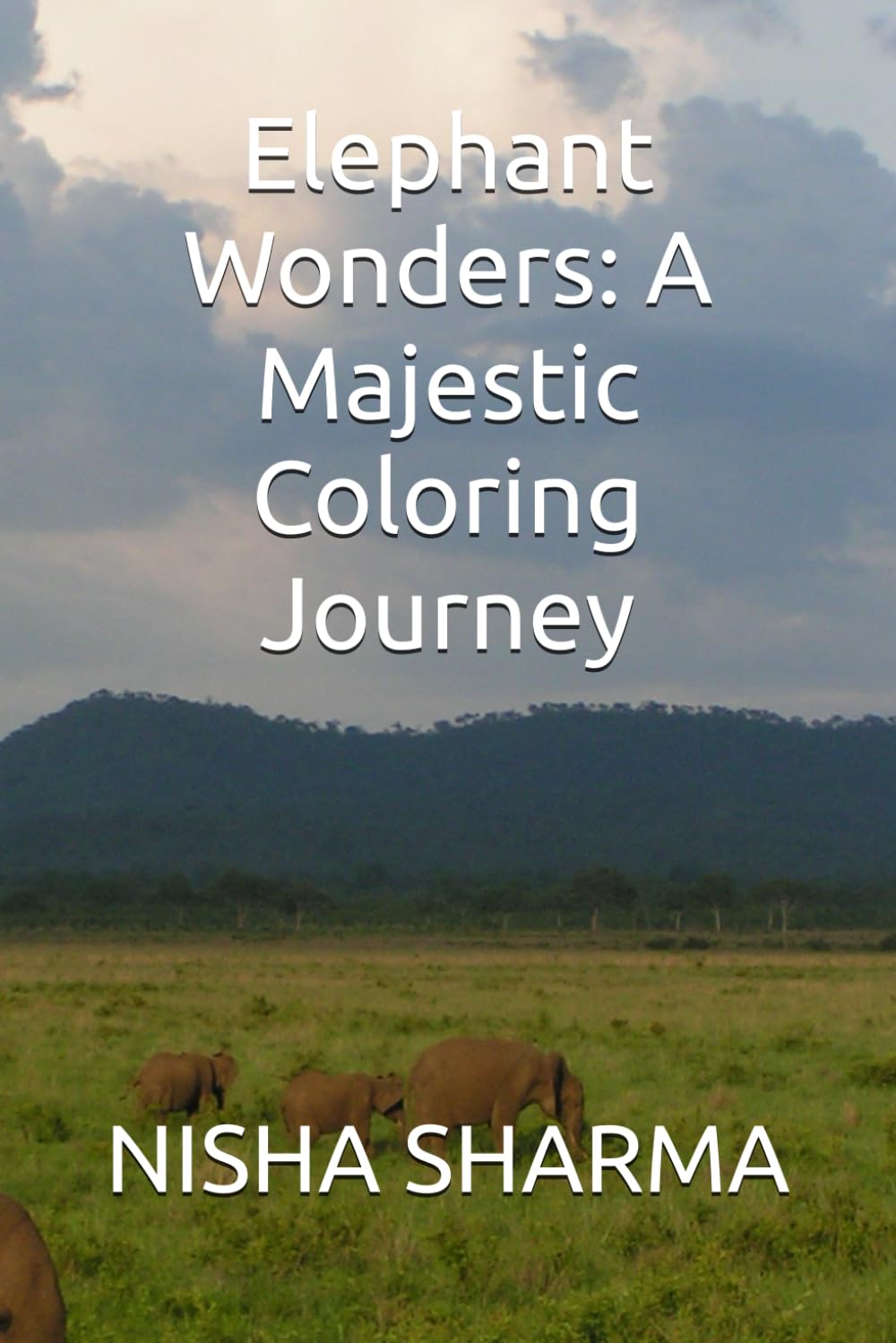Elephant Wonders: A Majestic Coloring Journey