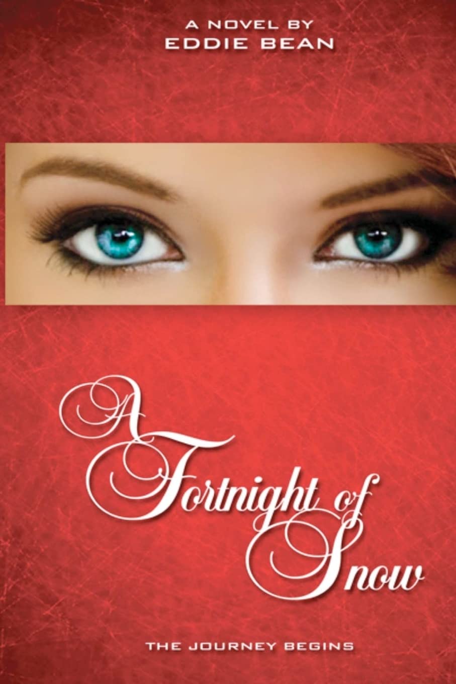 A Fortnight of Snow: The Journey Begins: Volume 1 (Penny Snow)