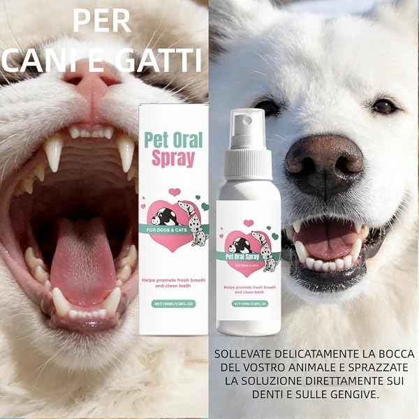 MEIION Codallma Spray per la Cura Dentale per Cani e Gatti - Pulizia Denti Gengive, Rimuove Placca, Rinfresca Alito - 2