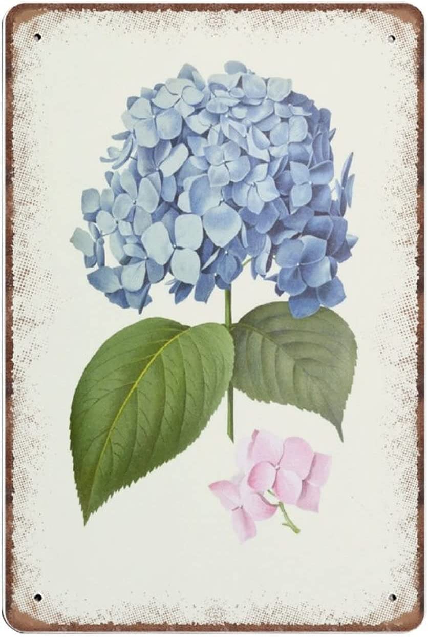 Pibonto Wall Art Vintage French Hydrangea Print Nature Illustration Grand Millennial Decor Vintage Flower Art Botanical Print Novelty Tin Metal Sign Plaque Bar Pub Home Group Porch 5.5X8 Inch