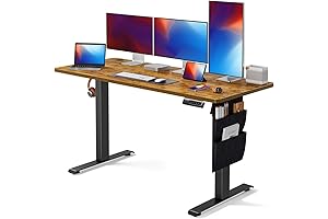 55x24 Electric Standing Desk with Organizer and Headphone Hook - Marsail Adjustable...