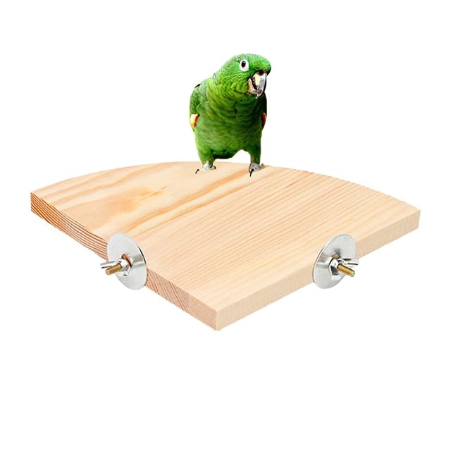 Foto 6 de 8 de HAMAGI Soporte para Percha Loro,Percha trampolín Plataforma Soporte Loro en Forma Abanico