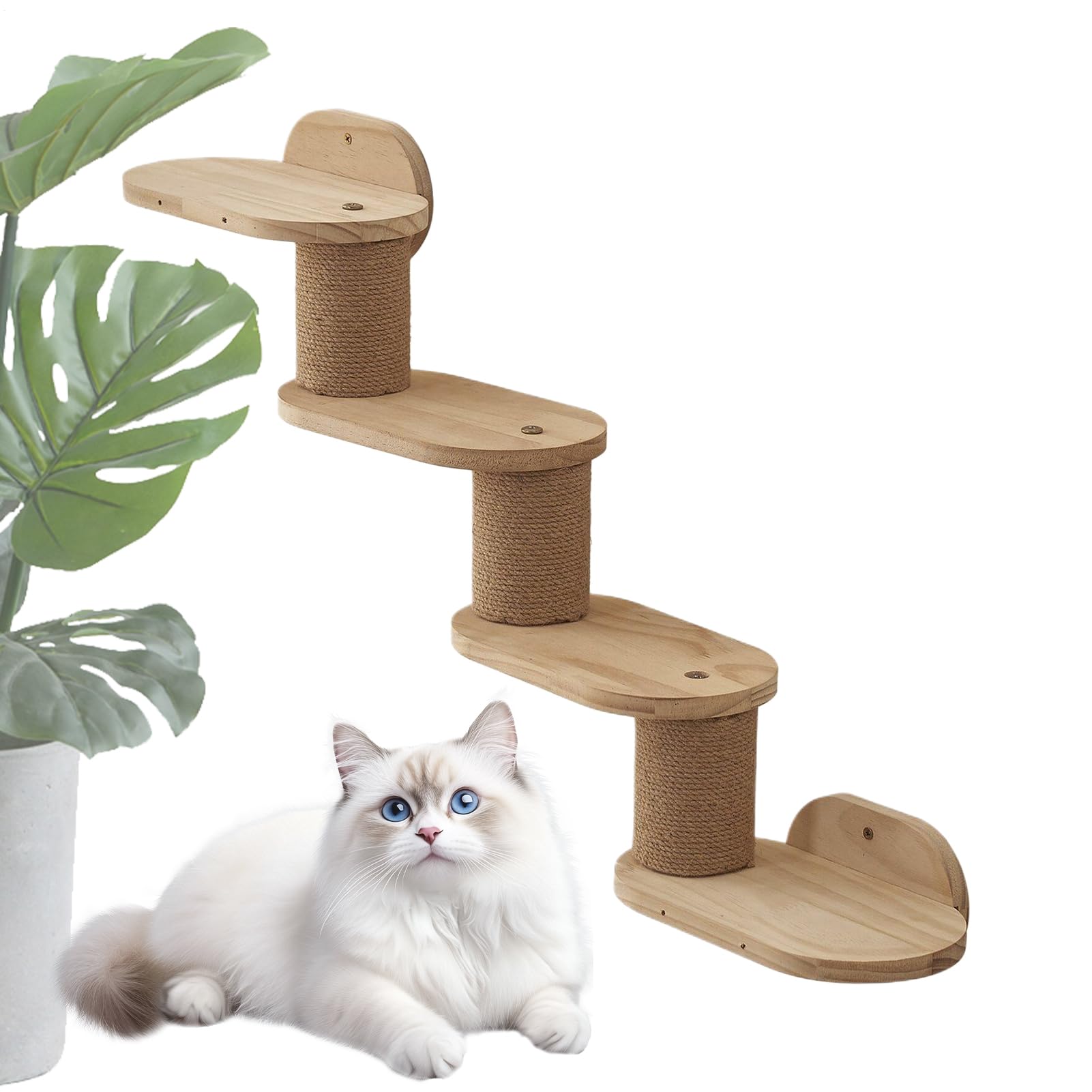 Katzenregale Katzen Kletterregale