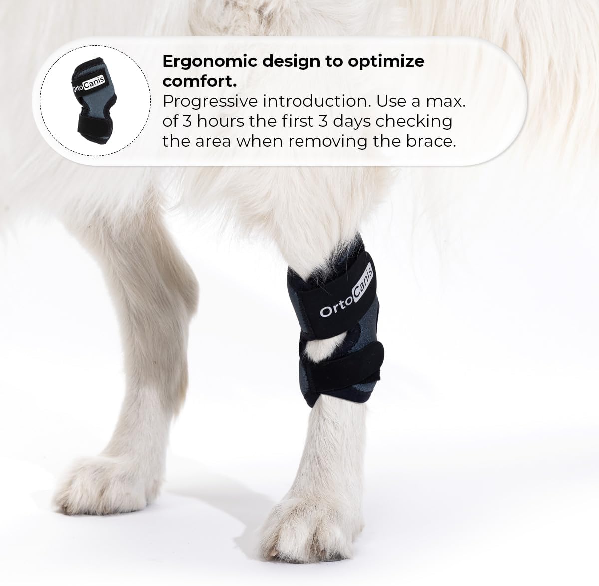 Ortocanis - Tarsal Support for Dog - Ankle Brace for Arthritis, Tarsal and Ligament Injuries, Osteoarthritis, Tendon Inflammations - Made of ARD Neoprene - Size: XL 17,5-19 cm - 15.5-16.5 cm