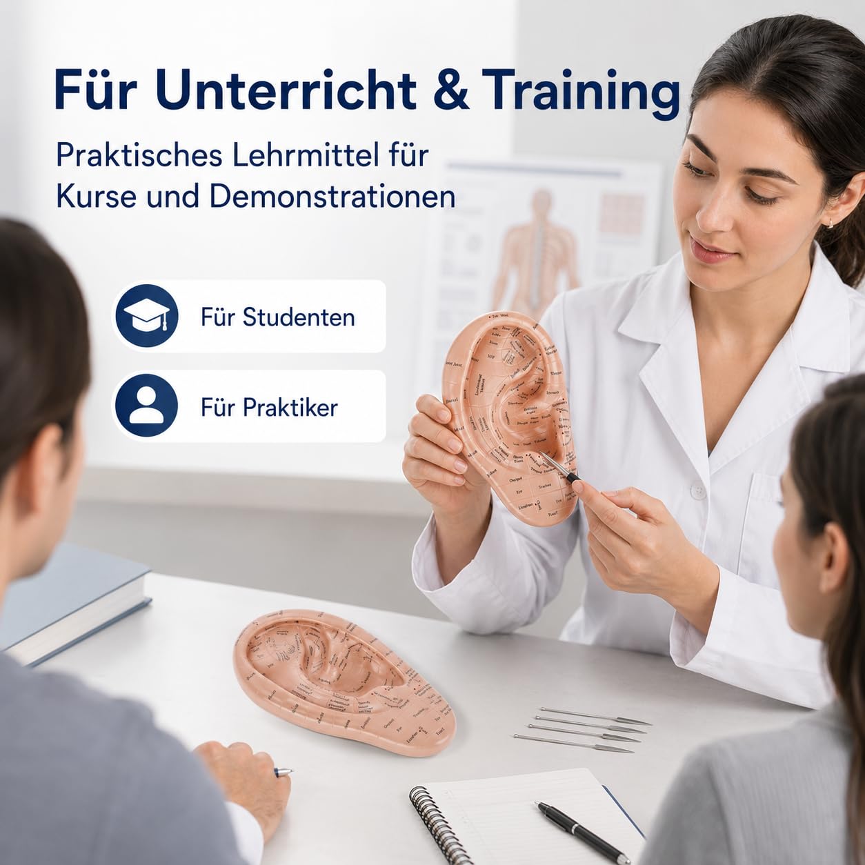 Ohrakupunktur- Tool Menschliches Ohr Anatomisches Ohr Punkt Vaccaria Acupoint Englische Charaktere Chinesische Massage Lehrrequisite Diagramm Ohrakupunktur