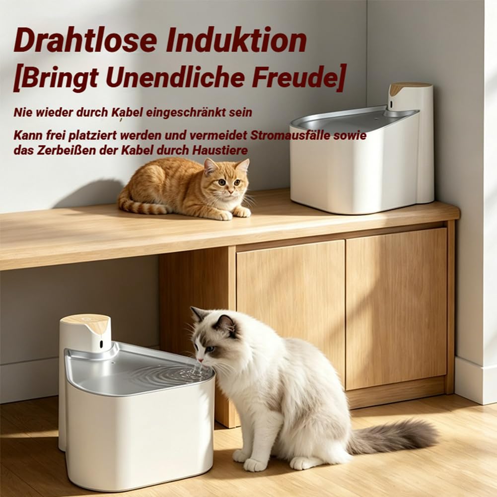 Wasserbrunnen FüR Katzen, Katzentrinkbrunnen Kabellos, USB, 2000 Mah, 1,6 L, FüR Wohnzimmer, Balkon, HaustiergeschäFt, Outdoor, Hund, Welpen, KäTzchen