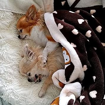مجموعة أدوات البدء الأصلية من Snuggle Puppy. لعبة نبضات قلب الكلب ومساعد التهدئة مع 3 عبوات حرارية ولعبة مضغ التسنين للجراء وبطانية للكلاب، محايدة