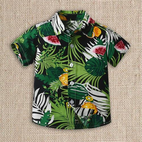 Boys Hawaiian Shirt Short Sleeve Tropical Beach Aloha Button Down Shirt Tees Cute Tops for Kids Toddler Summer Clothes2