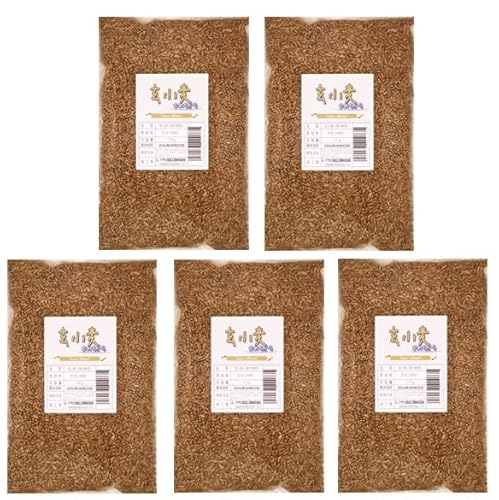 北海道産 玄小麦 ゆめちから 5kg 豆力