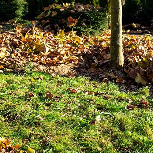 UPP Hands Leaf Grabber I Ergonomic Scoops for Collecting Leaves I 34 x 8 x 50 cm I Set of 2 pcs I Green