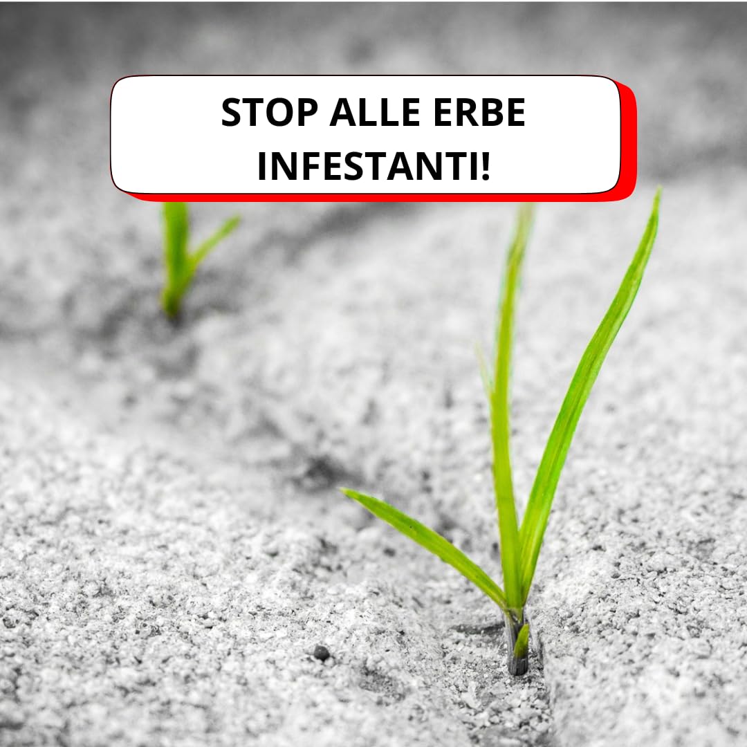 acquaverde | ECO-Herb 80%, Acido Acetico 80% Concentrato - 5 L, Azione Erbicida Rapida, Effetto Diserbante, Stop alle Erbe Infestanti per Viali, Aree Incolte, Piazzali