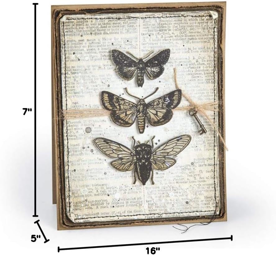 Tim Holtz Entomology - Stampers Anonymous Cling Stamps and Sizzix Framelits Die Set - Two Item Bundle