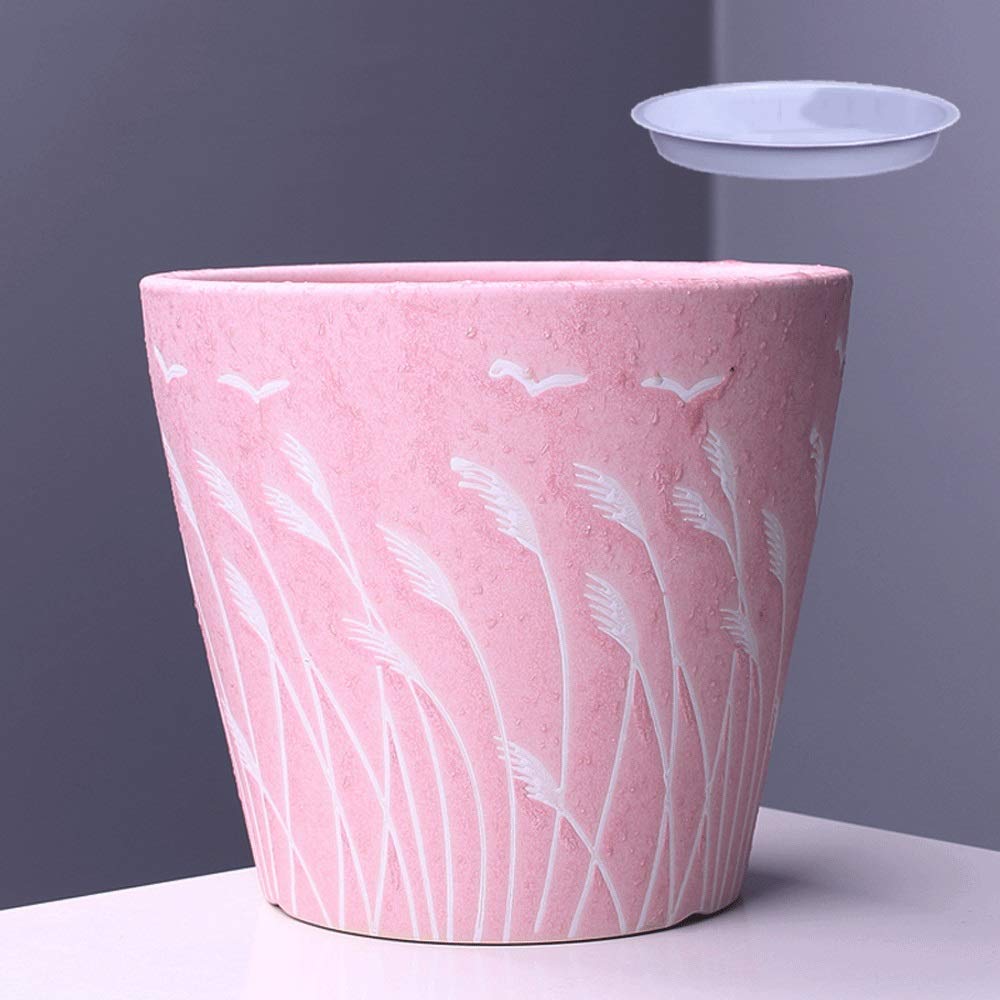 Planteur de Cactus à Fleurs pour résoudre le manque de place