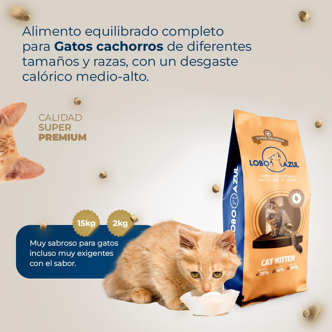 Pienso para Gatos Kitten Sin Gluten - Comida Natural para Gatitos Bebés - con Pollo, Pavo y Salmón - 15kg - Lobo Azul Kitten