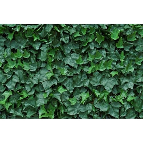 RETELANDIA L'OUTLET DELLE RECINZIONI Siepe Finta Artificiale sempreverde in Piastrelle modulari 50x50 cm EDERA - qualità Garantita 10 Anni