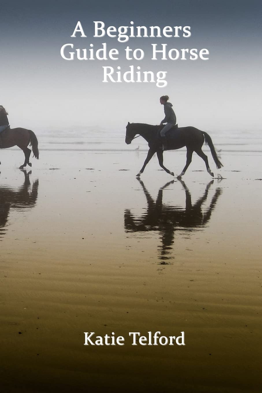 A Beginners Guide to Horse Riding: The Horse Rider's Handbook