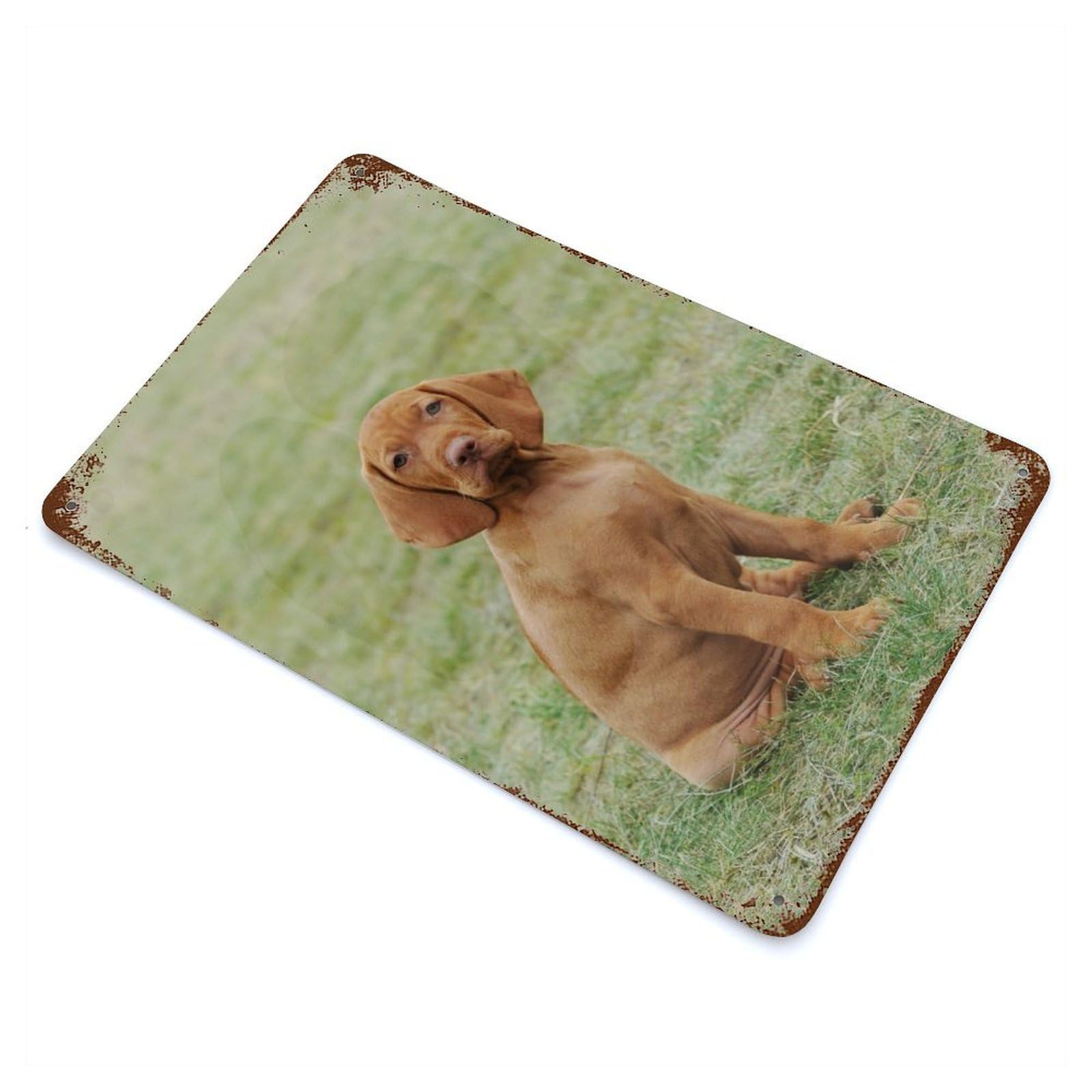 Rust Effect Hungarian Vizsla Puppy Retro Metal Sign 11.8"x7.9", Farmhouse Wall Decor for Living Room, Hallway And Home Decor