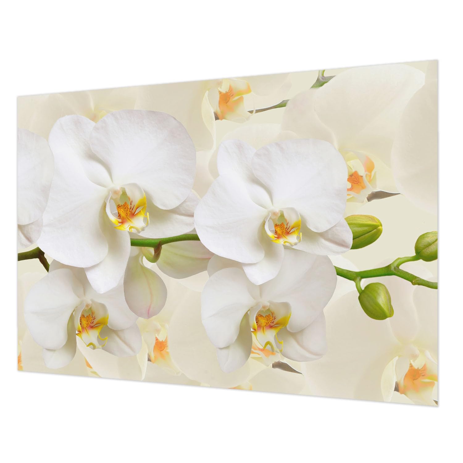 Papier peint intissé richesse florale 312x219 cm Tulup pour habiller les murs du salon