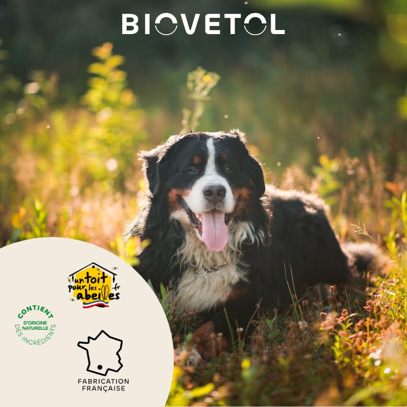 Biovetol - Probiótico - Comprimidos Regul'Transit - Complemento alimenticio especial de tránsito (perro, lote de 3)