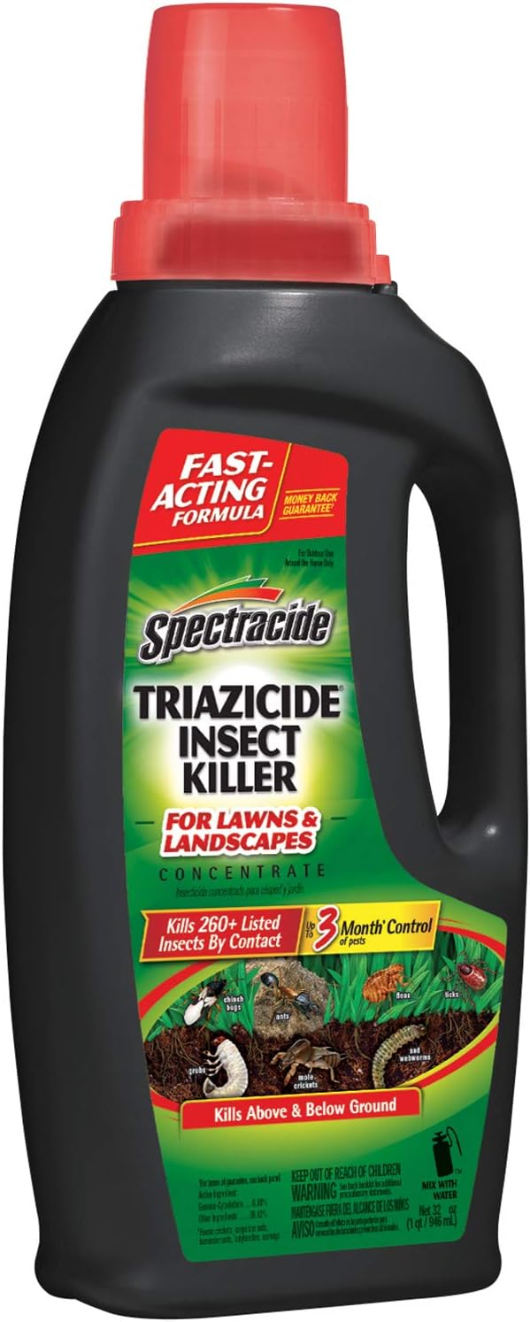 Amazon.com : Black Flag Ant & Roach Killer Crack and Crevice Aerosol ...