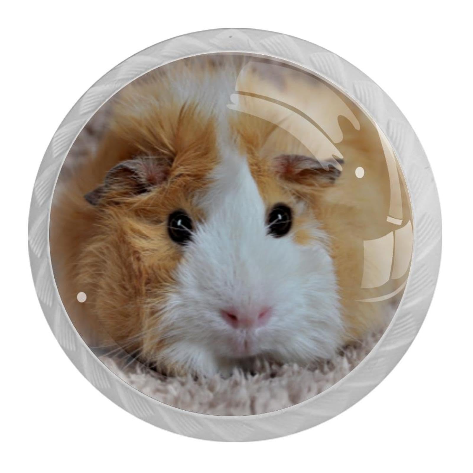 Tqmspg 4 Pieces Drawer Pulls Cute Guinea Pig Door Knobs Dresser Handles for Kitchen Wardrobe Cupboard Hardware Furniture