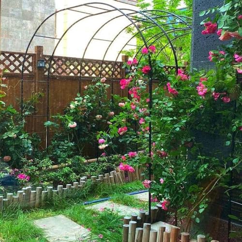 Solidny żelazny łuk ogrodowy do roślin pnących, odporna na warunki atmosferyczne, różana krata, na patio i ogród, trwała metalowa podpórka dla roślin, elegancka dekoracja na zewnątrz