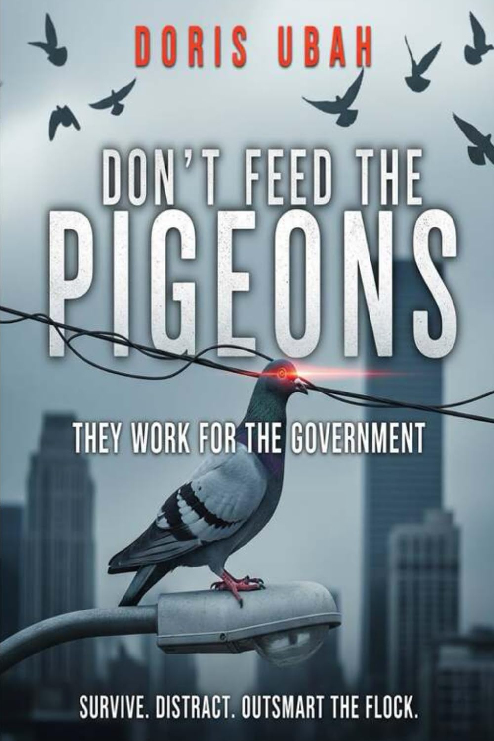 Don’t Feed the Pigeons: They Work for the Government. They’re watching always. The sky is full of spies.S urvive. Distract. Outsmart the flock