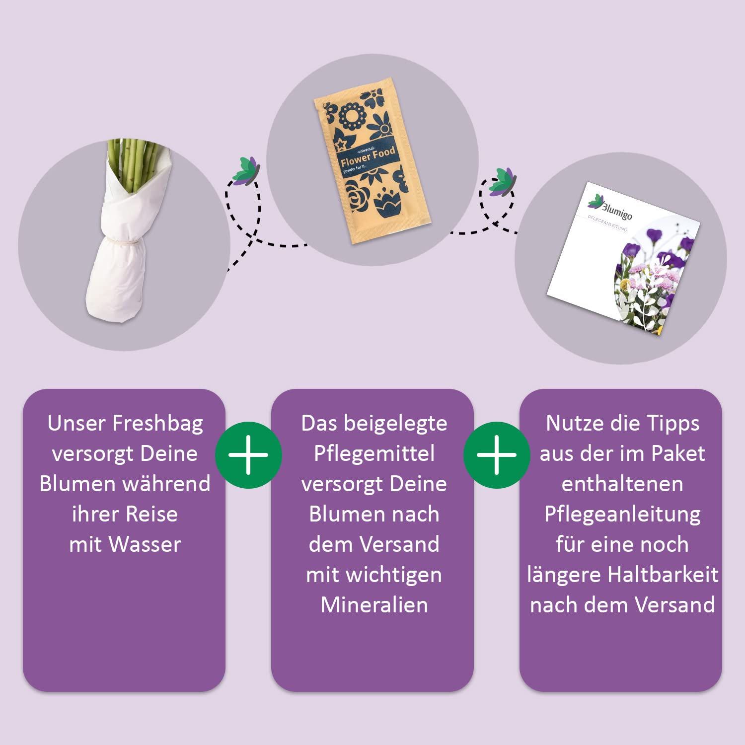 5 Bund Eukalyptus Zweige - 50 cm - Frische Schnittblumen Stiele für die Vase - Echte Stiele - Eukalyptusblätter zur Deko oder Hochzeit - Greenery - Natur