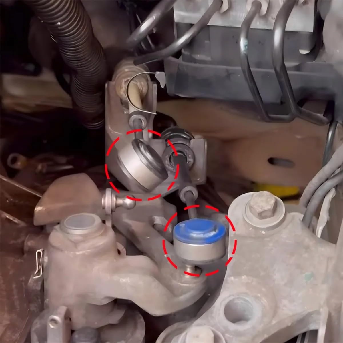 cavo comando marce Compatibile con Opel Per Zafira B 2005-2014 Cambio manuale Cavo di collegamento Estremità Asta Bush Connettore Leva del cambio Selettore